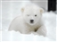 FrostyFeet760's avatar