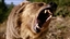 Griz_Behr's avatar