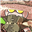ZeTrystan's avatar