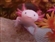 KINGBEANZ's avatar