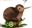 Kiwi_The_Kiwi's avatar