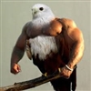 scottflwr's avatar