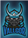 Vallgor's avatar