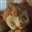 Nivek_k200's avatar