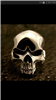 Winterheart's avatar
