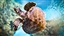 MonkeyScout's avatar