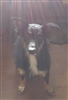 grandamned's avatar