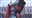 InsaneInTheWarframe's avatar