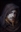 Aethaeryn's avatar