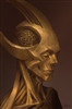 Fesbra's avatar
