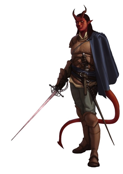 Duelist Image