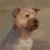 Erujayy's avatar