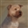 Erujayy's avatar