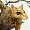Th1ef3R's avatar