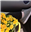 Burnsi3's avatar