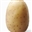 PotatoDM's avatar