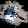 fuzyll's avatar