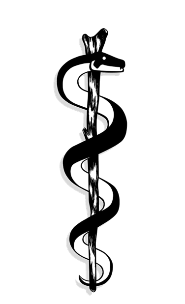 Oath Of Medicine - Paladin Image