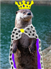 Bloodbonez's avatar