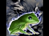 KikkerNeuk's avatar