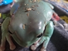 DonovanRay's avatar