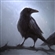 Netherbandit's avatar