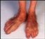 Terry_Tentoes's avatar