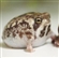TheMorbidHobbiest's avatar