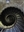 DarkSpiral's avatar