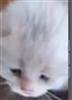 hidde95's avatar