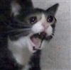 Belaknworb's avatar