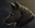 GamingBlackWolf's avatar