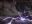 ThaneOfThunder's avatar