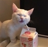 AzureGrey's avatar