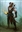RiverRooster's avatar