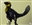 Utahraptor's avatar