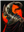 Dragon_Mobboss's avatar