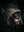DonTremove's avatar