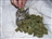 Its_Kitty's avatar