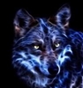 MamaWolf's avatar