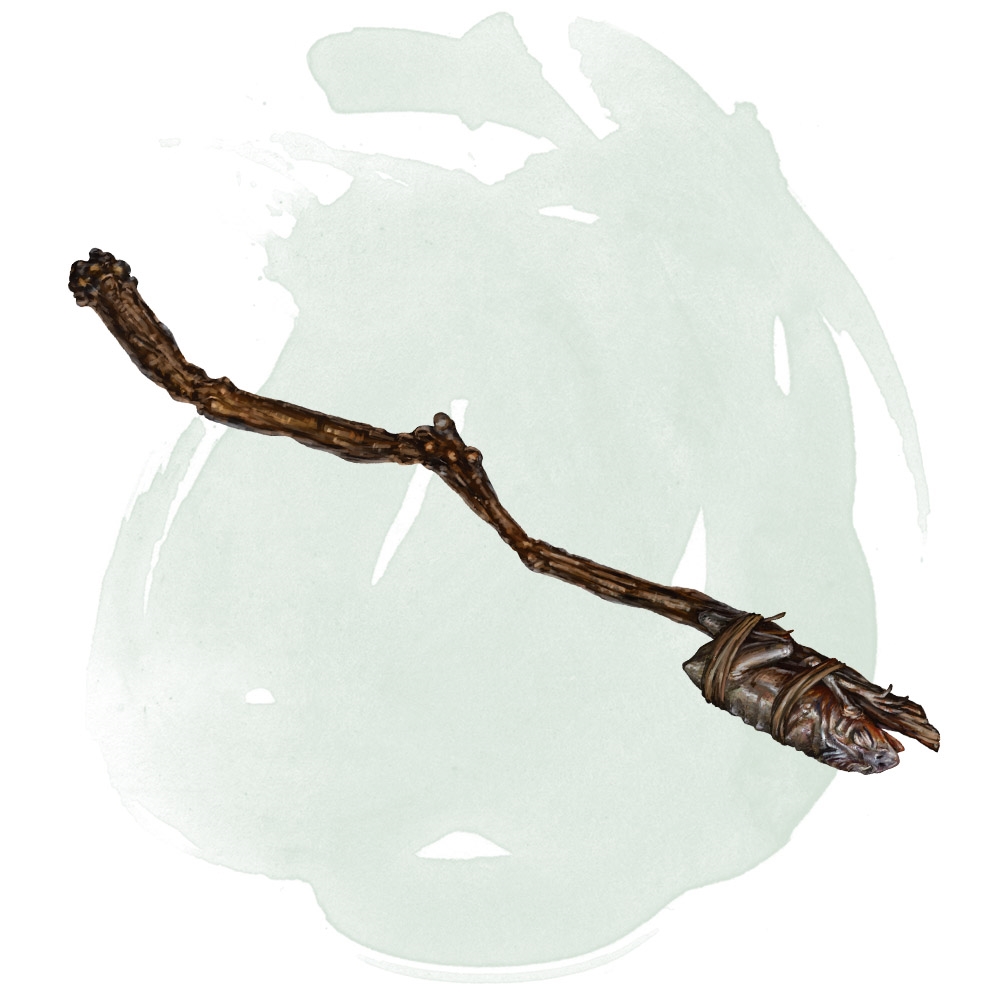 Wand of Polymorph