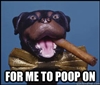 TravvyJ's avatar