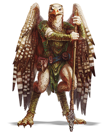 The Aarakocra Race for Dungeons & Dragons (D&D) Fifth Edition (5e) - D&D  Beyond