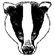 MightyMustelid's avatar