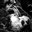 ThePettreable's avatar