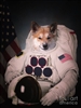 LogicSMJ's avatar