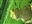 bronzedracoborn's avatar