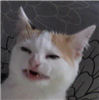 BigFriend's avatar