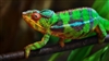 TuckerH's avatar