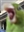 Table_Bang's avatar